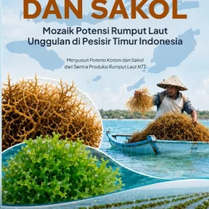 Kotoni dan Sakol: Mozaik Potensi Rumput Laut Unggulan di Pesisir Timur Indonesia