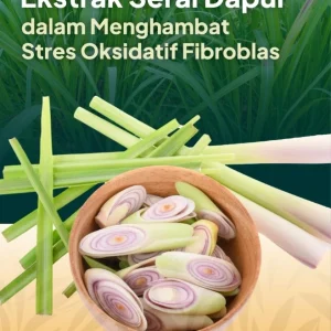 Efek Protektif Ekstrak Serai Dapur dalam Menghambat Stres Oksidatif Fibroblas