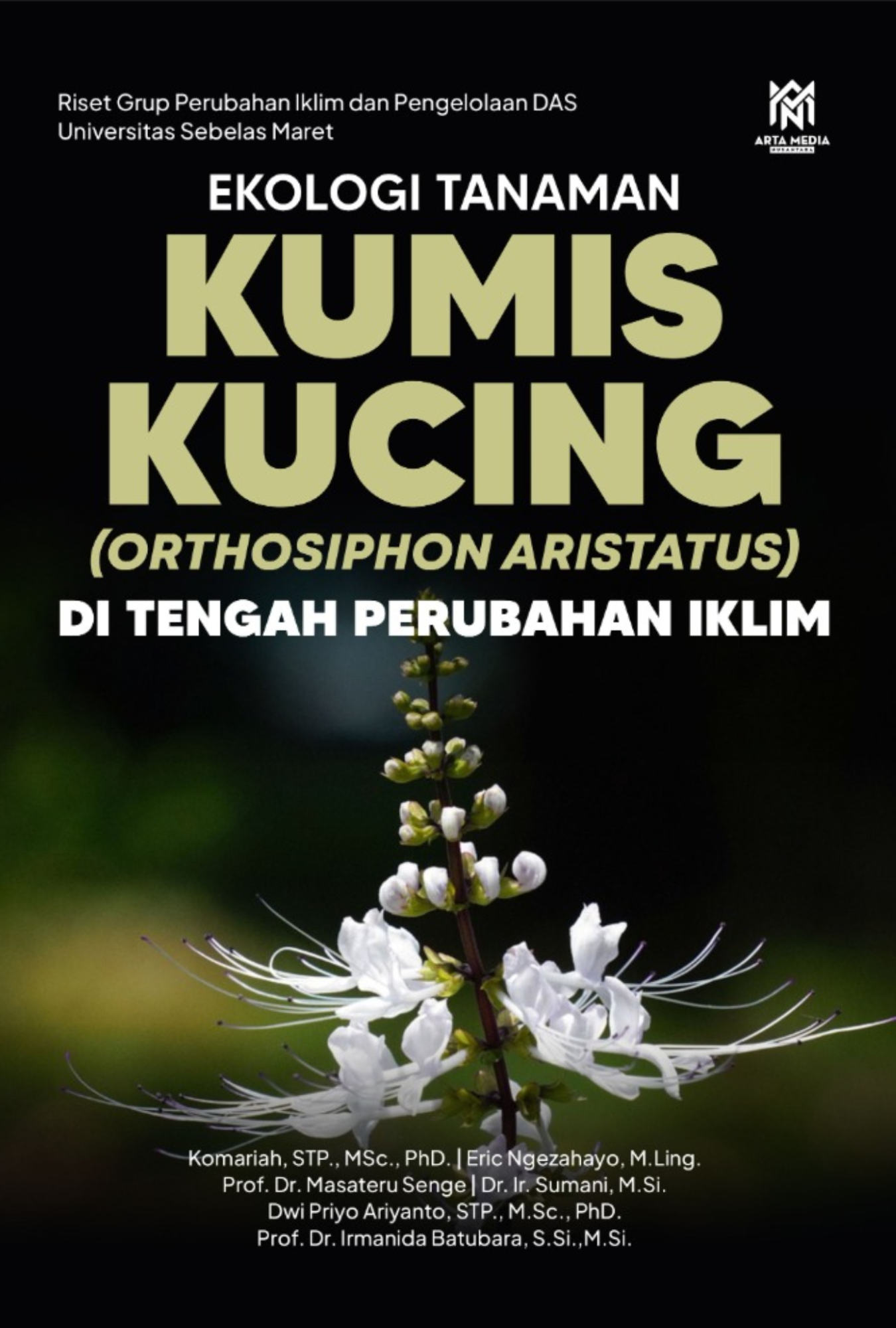 Ekologi Tanaman Kumis Kucing (Orthosiphon aristatus) di Tengah Perubahan Iklim