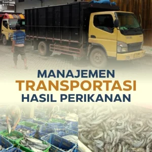 Manajemen Transportasi Hasil Perikanan